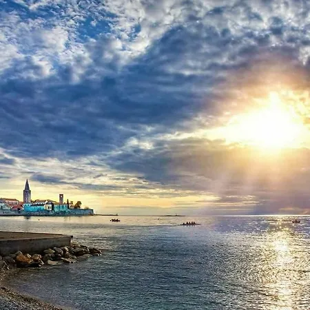 Ulivo Lejlighed