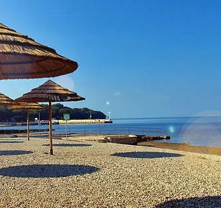 Ulivo Porec