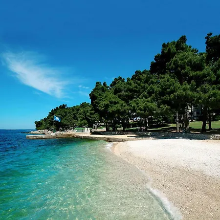 Ulivo * Porec