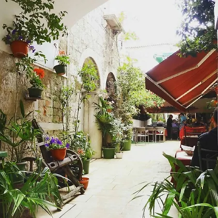Ulivo *